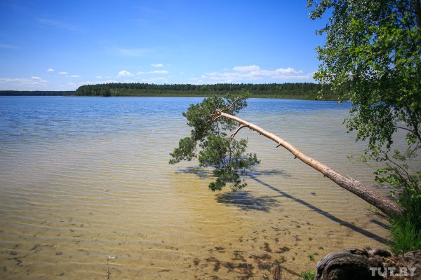 Озеро белое Мядельский район