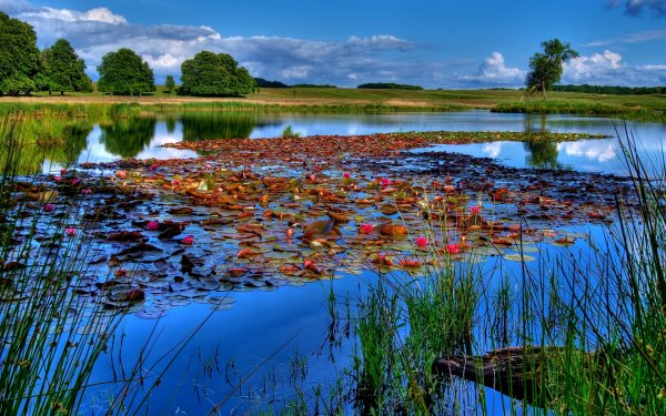 Озера реки пруды водоемы