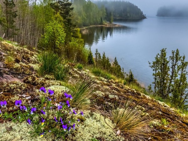 Весна в Карелии