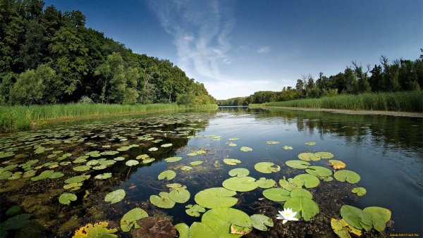 Воронинский заповедник Тамбовской