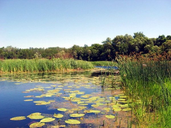 Пресноводное озеро