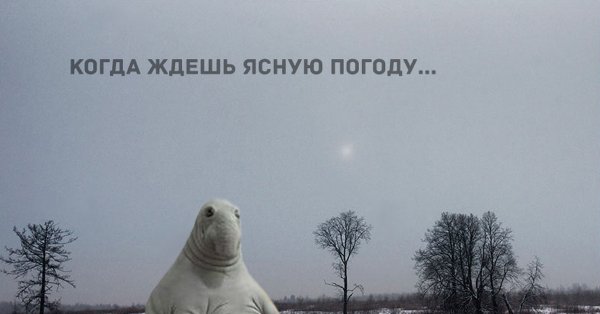 Жду хорошую погоду