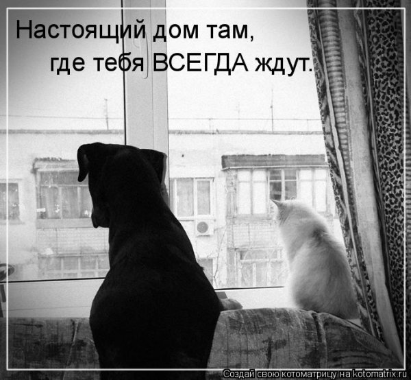 Дом там где ждут картинки