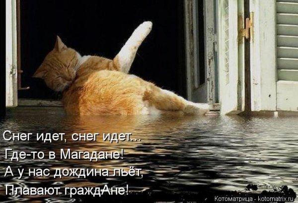 У вас дождь идет а у нас