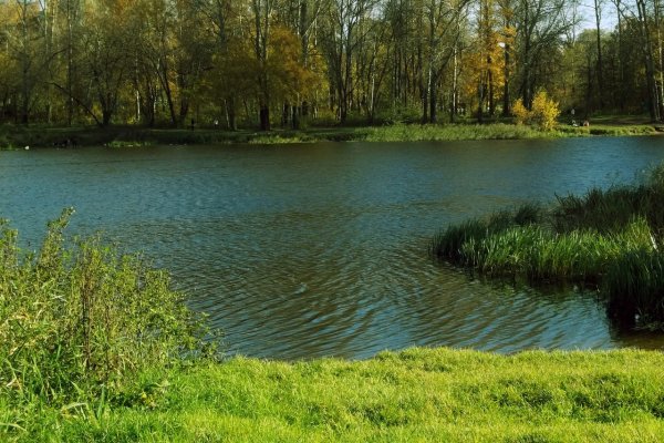 Озеро Пехорка Балашиха