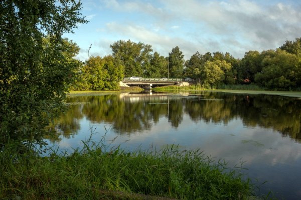 Река Пехорка в Балашихе