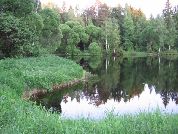 Река Пехорка в Балашихе