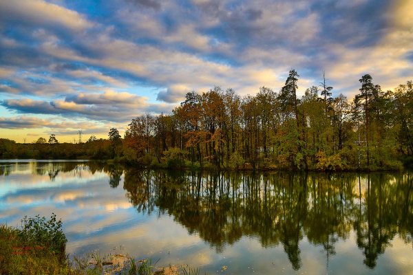 Природа Балашихи