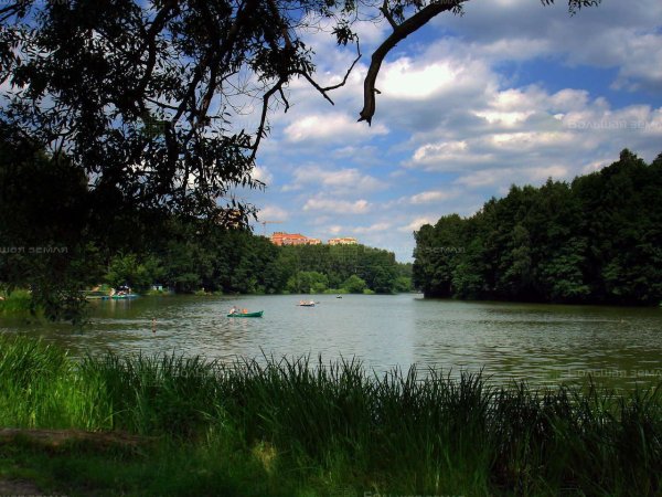 Речка Пехорка в Балашихе