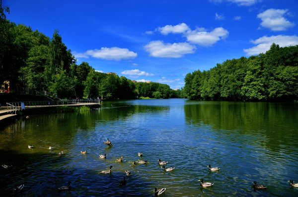 Река Пехорка в Балашихе