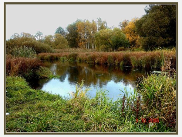 Речка Пехорка в Балашихе