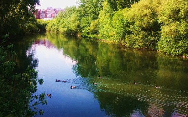 Река Ольховка Екатеринбург пруд