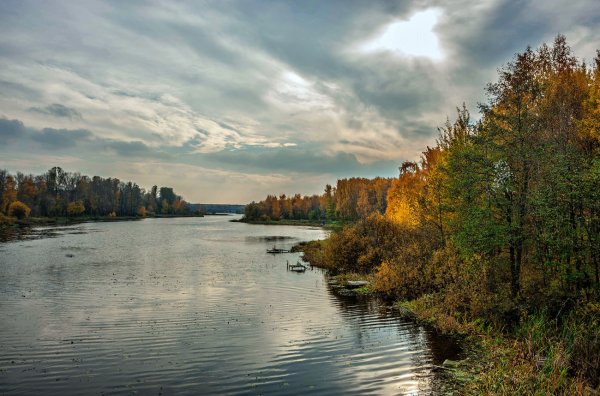 Река Пехорка в Балашихе
