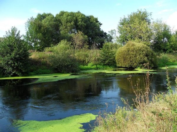 Река Пехра Балашиха