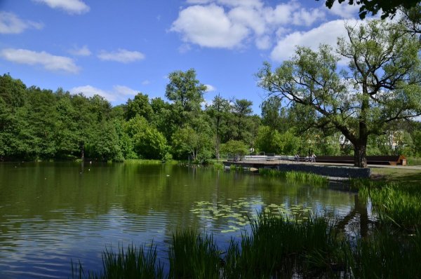 Озеро Пехорка Балашиха