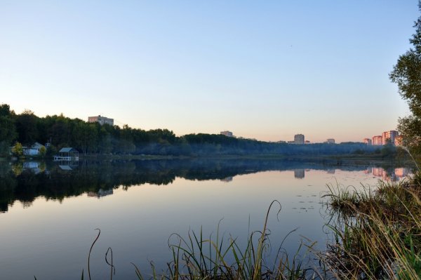 Речка Пехорка в Балашихе