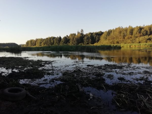 Река Пехорка в Балашихе