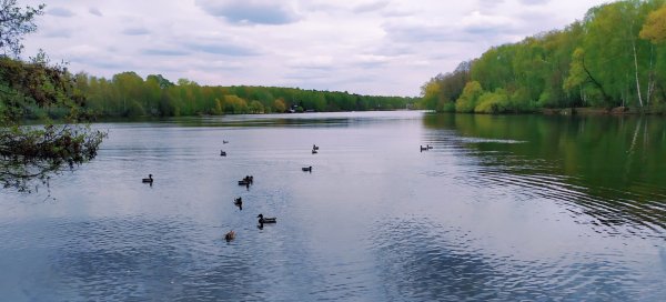 Малаховское озеро Люберцы