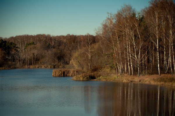 Пехорка осенью Балашиха река