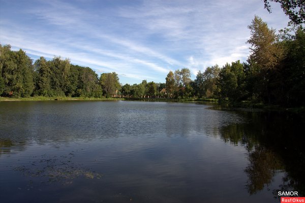 Тарелочкин пруд Салтыковка