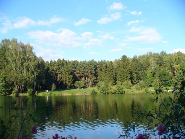 Блюдечкин пруд Салтыковский лесопарк