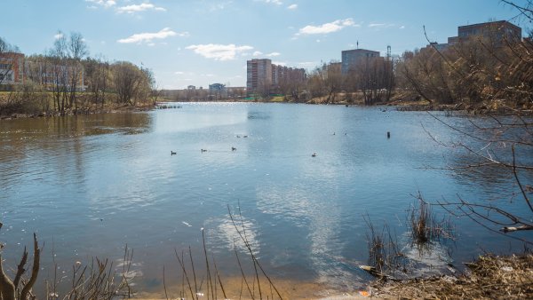 Парк на реке Пехорка в Балашихе