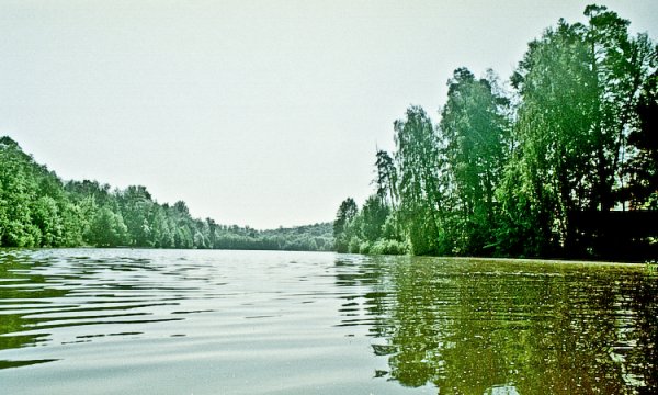 Речка Горенка в Балашихе