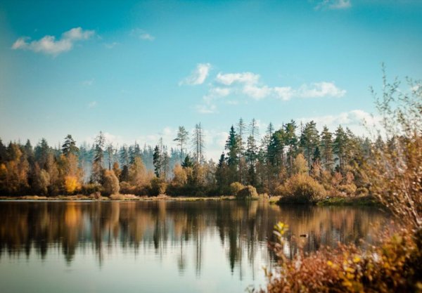 Кучинский парк Балашиха