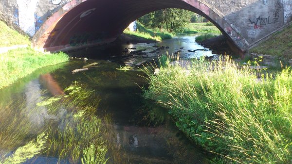 Река Пехорка Кучино