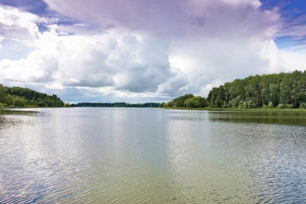 Сбоевское озеро Дмитровский