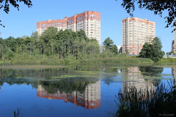 Деревня Федурново Балашихинского