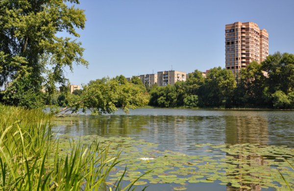 Маланьин пруд Балашиха