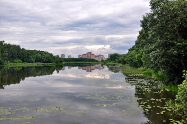 Река Пехорка в Балашихе
