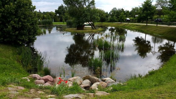 Овражные пруды