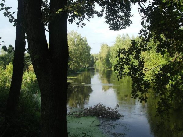 Река Пехорка Красково