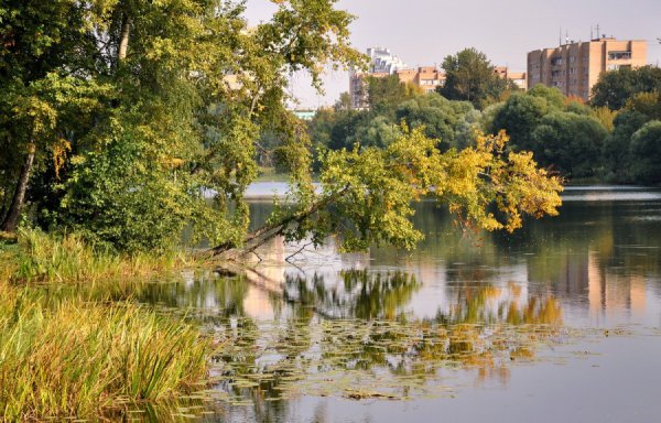 Река Пехорка в Балашихе