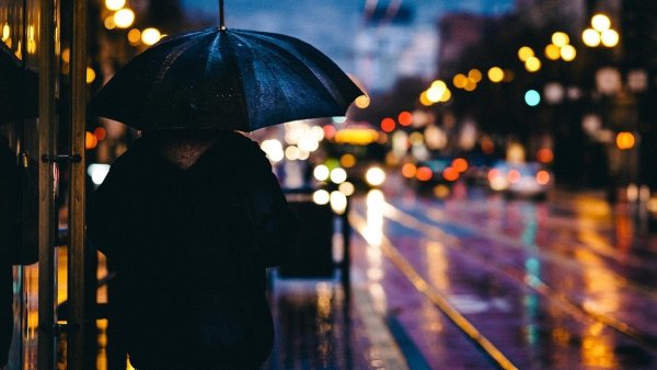 Дождливая ночь