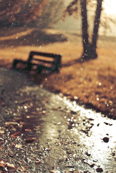 Настроение осень дождь