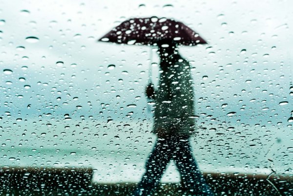 Лёгкие дожди