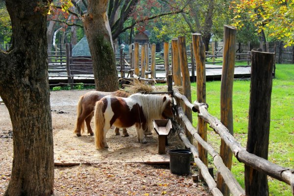 Парк отдыха «Солнечный остров»