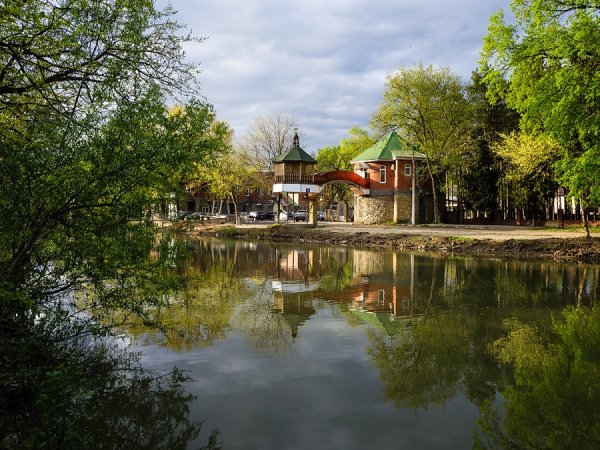 РАРК Солнечный остров Краснодар