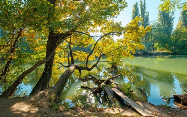 Парк Солнечный остров в Краснодаре природа