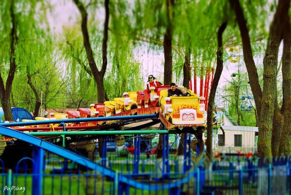 Краснодар парк Солнечный остров аттракционов сафари