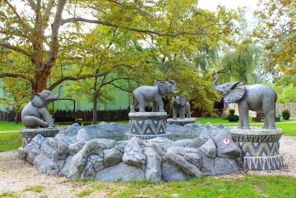 Солнечный остров Краснодар