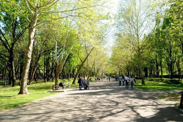 Парк зеленый остров в Краснодаре