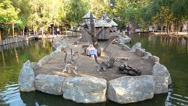 Парк Солнечный остров Краснодар