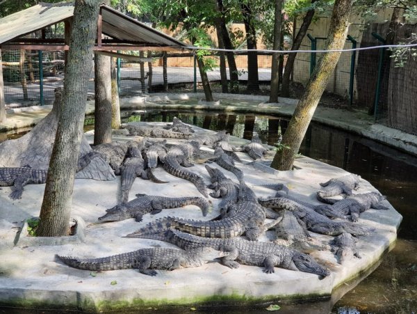 Парк Солнечный остров