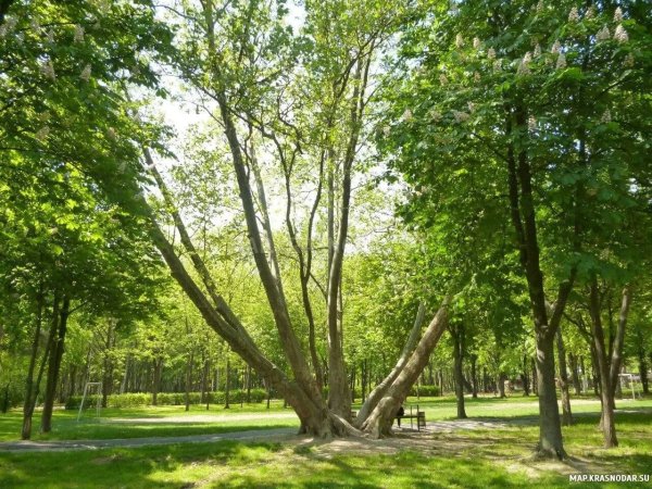 Солнечный остров Краснодар