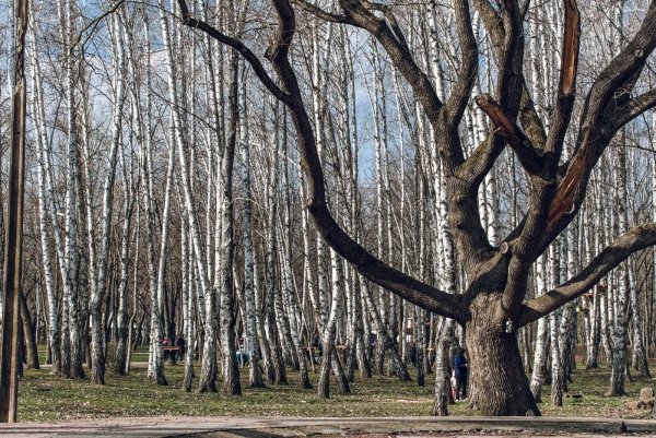 Солнечный парк Краснодар