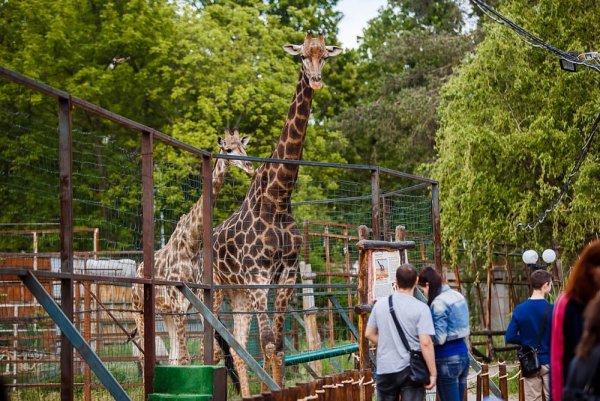 Солнечный остров Краснодар сафари парк